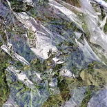 Endangered (aus der Serie „Covered Earth“), 2020

Digitalfotografie, Druck auf Alu-Dibond, 54 x 54 cm
1/17, signiert und nummeriert, © Bildrecht

AUSRUFPREIS: 450.-