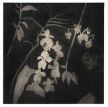 Ohne Titel, 2018

Graphitstift, Tusche und Acryl auf Molino, 40 x 40 cm, Künstlerrahmung
rückseitig signiert und datiert

AUSRUFPREIS: 750.-